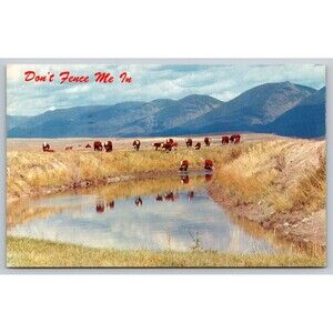 Postcard Kansas Ottawa Cows Cattle Water Hole Mountains Don't Fence Me In 1953